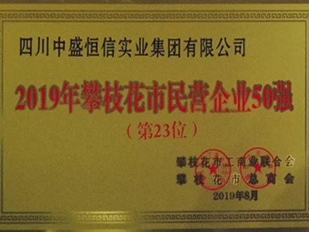 2019-攀枝花市民營企業50強